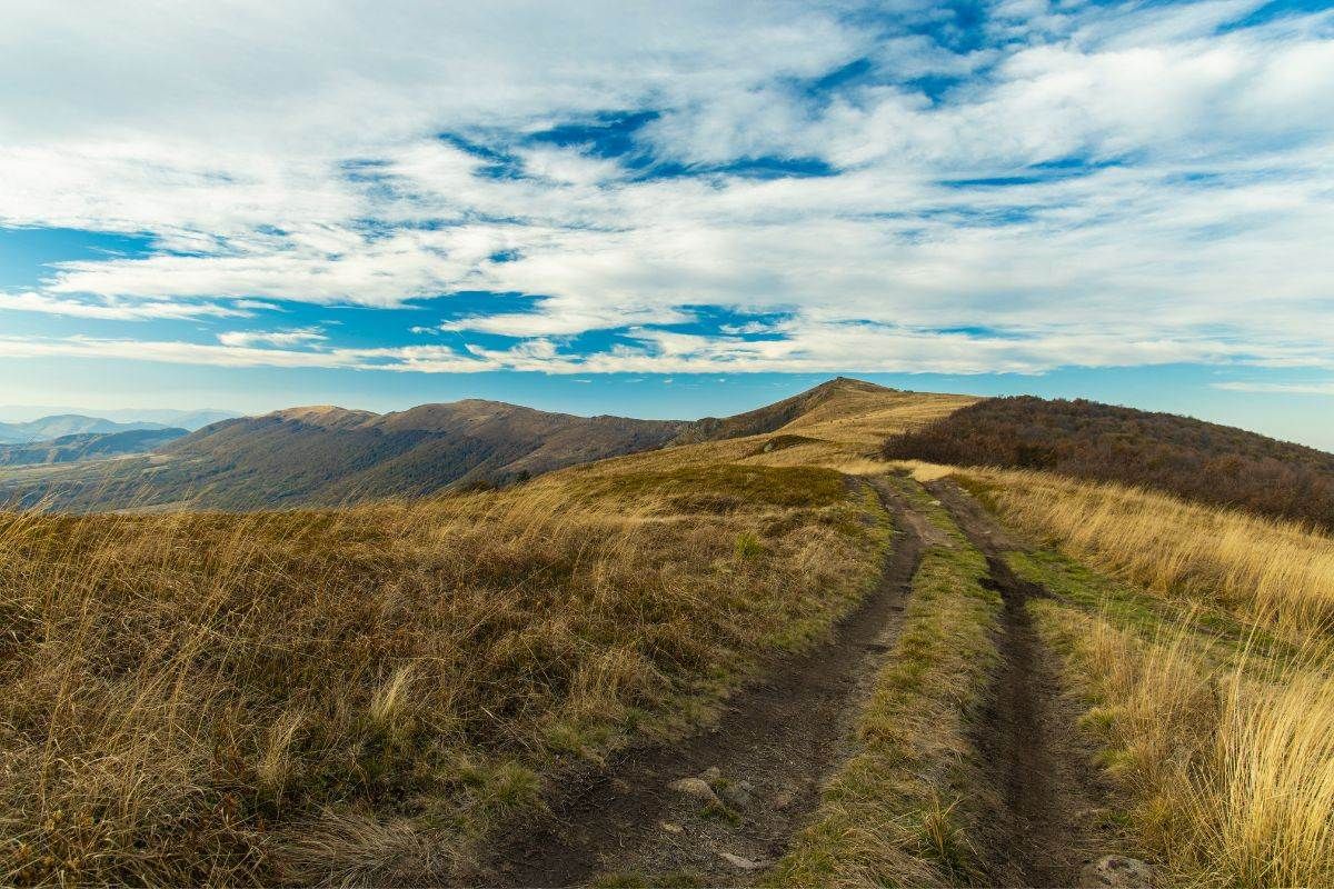 15 Best Running Routes In Boston You Can Visit Today